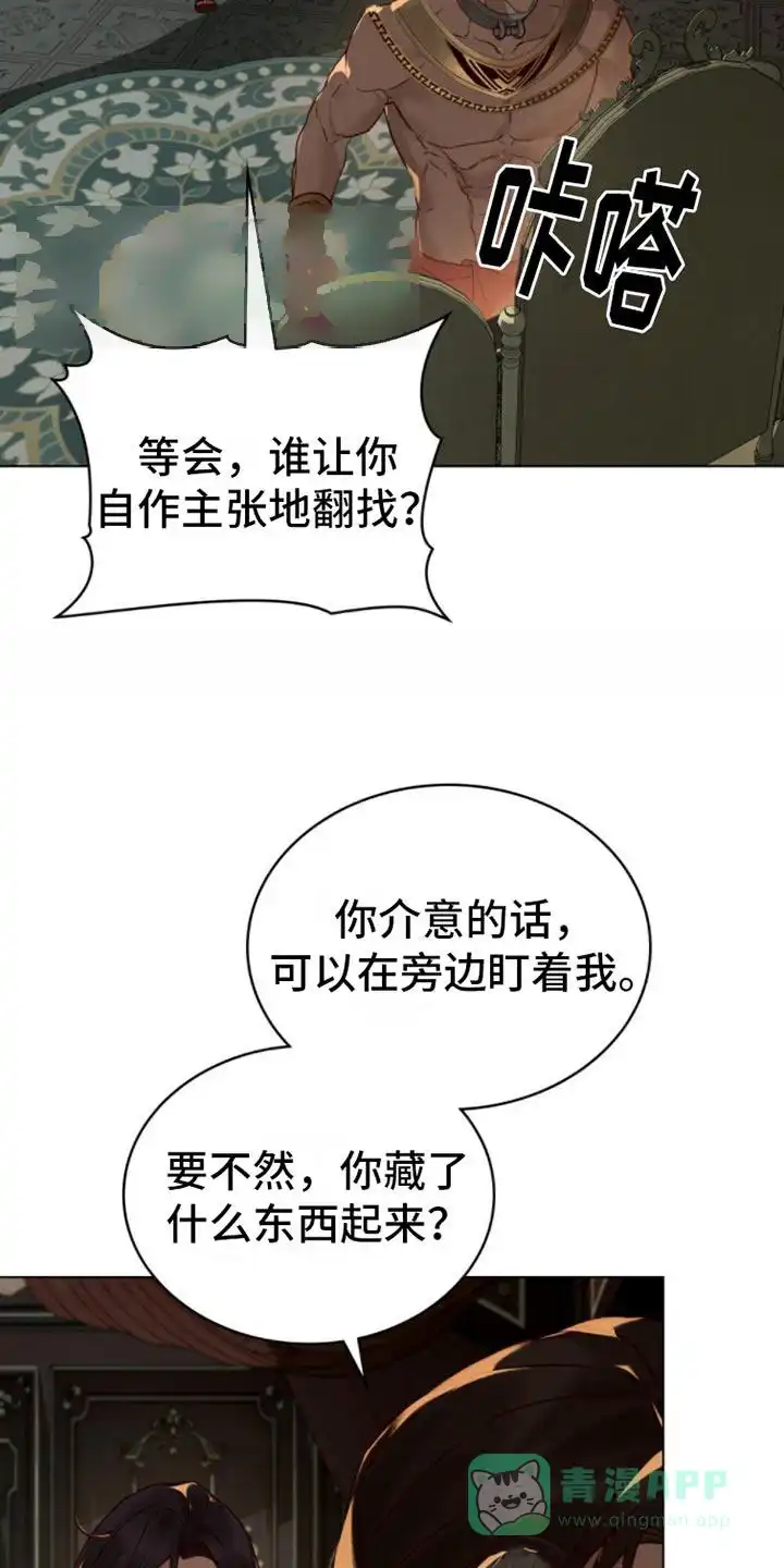 《琥珀魅影》第27话 第11页