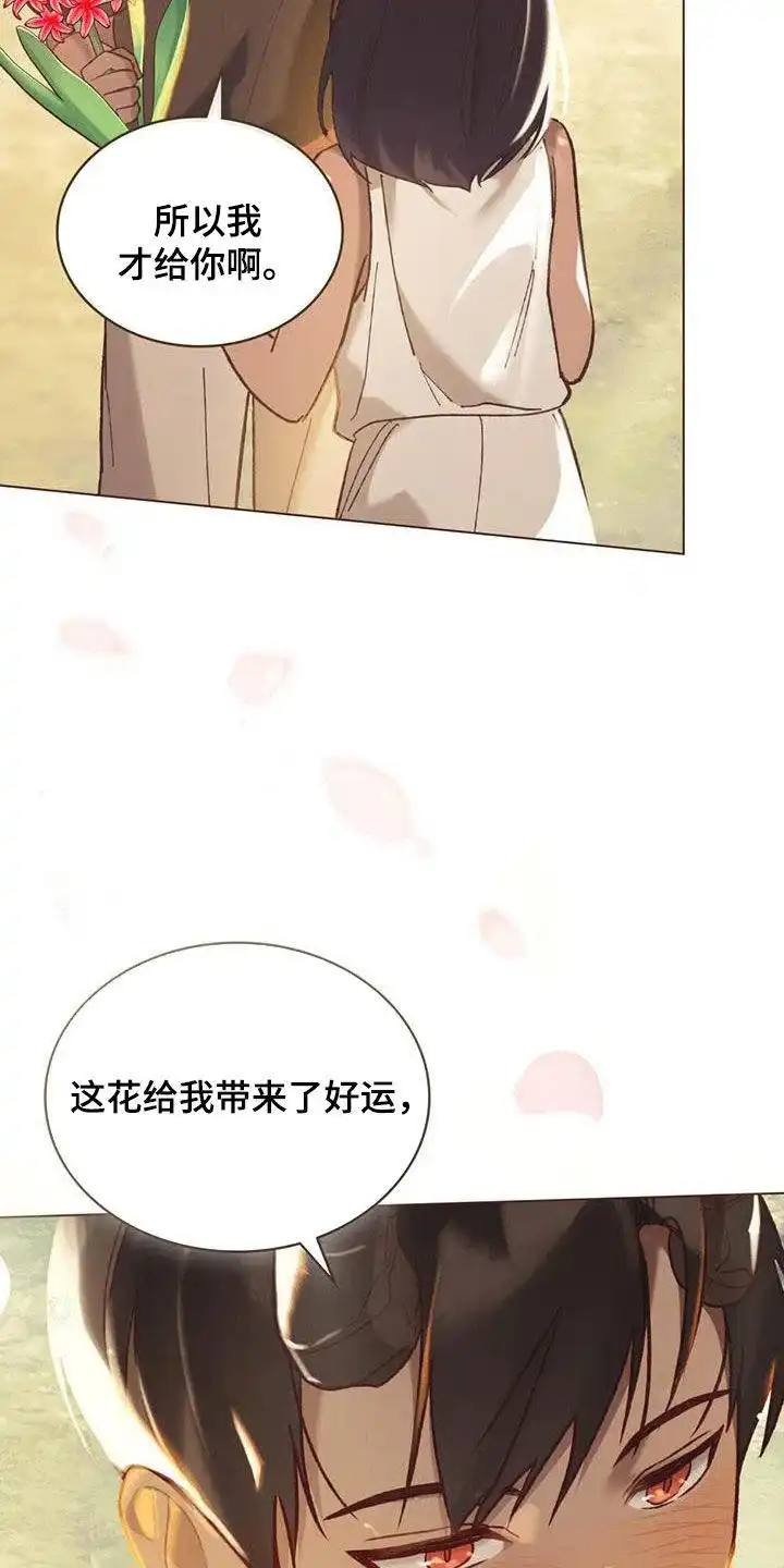 《琥珀魅影》第28话 第12页