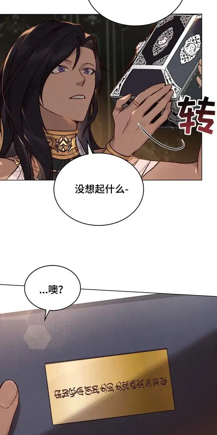 《琥珀魅影》第28话 第3页
