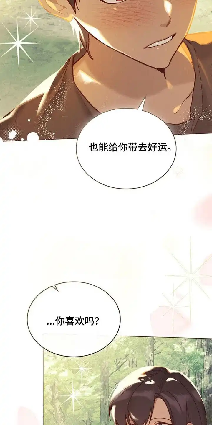 《琥珀魅影》第28话 第13页