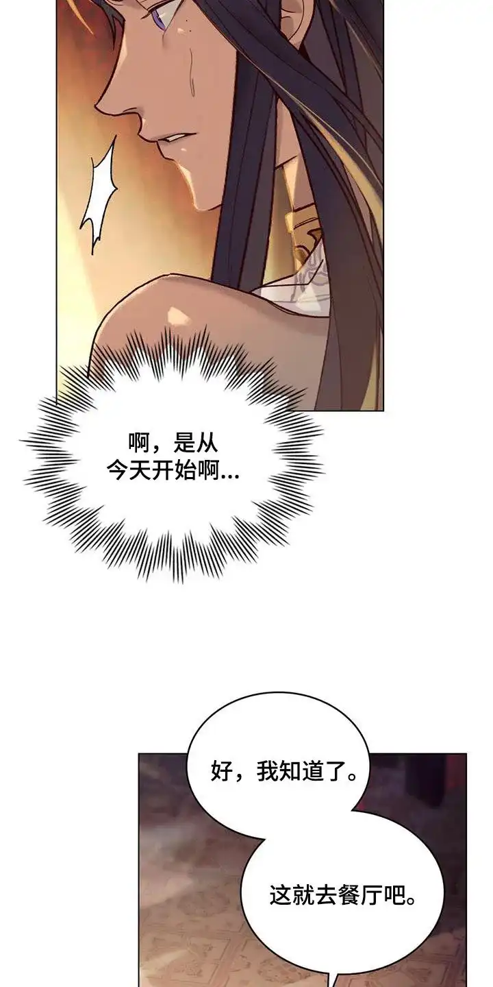 《琥珀魅影》第29话 第4页