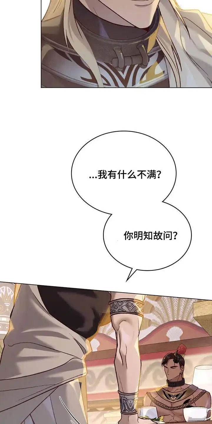 《琥珀魅影》第29话 第25页