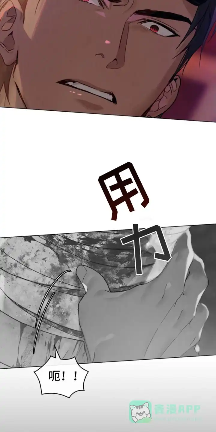 《琥珀魅影》第3话 第6页