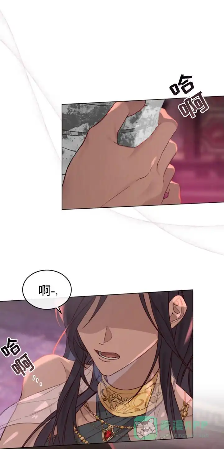 《琥珀魅影》第3话 第11页