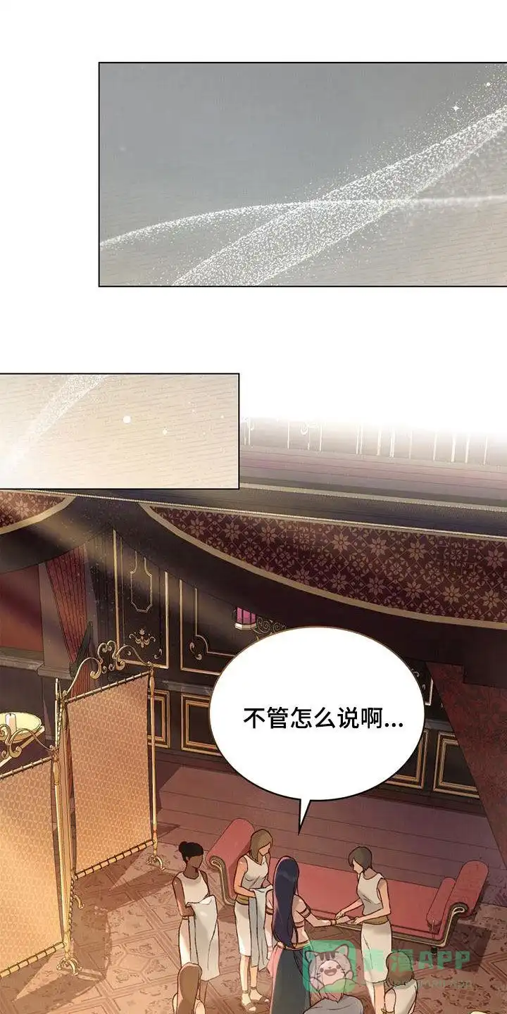 《琥珀魅影》第33话 第1页