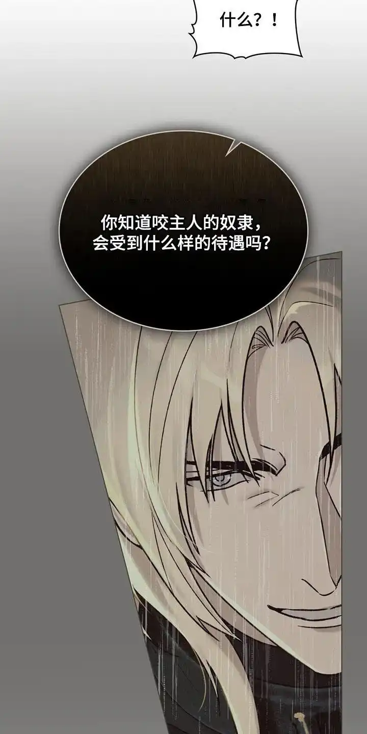 《琥珀魅影》第35话 第3页