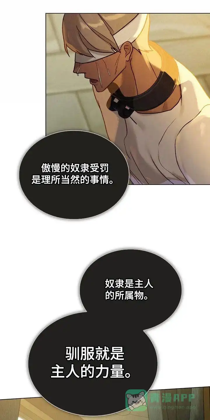 《琥珀魅影》第35话 第6页