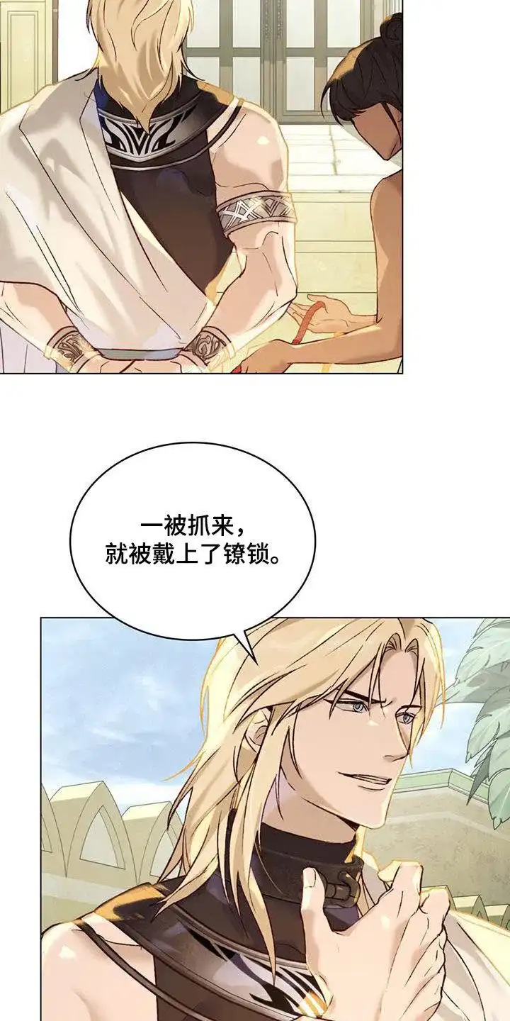 《琥珀魅影》第36话 第17页