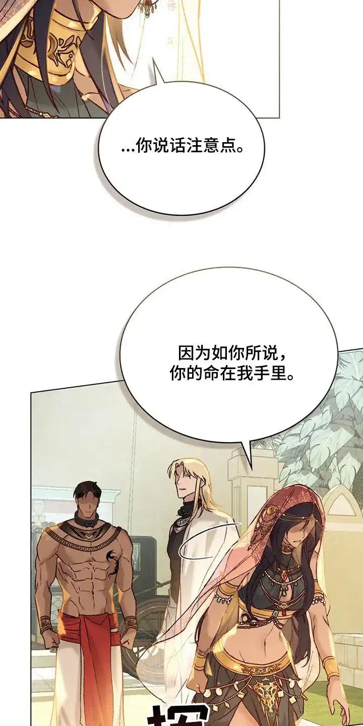 《琥珀魅影》第36话 第19页