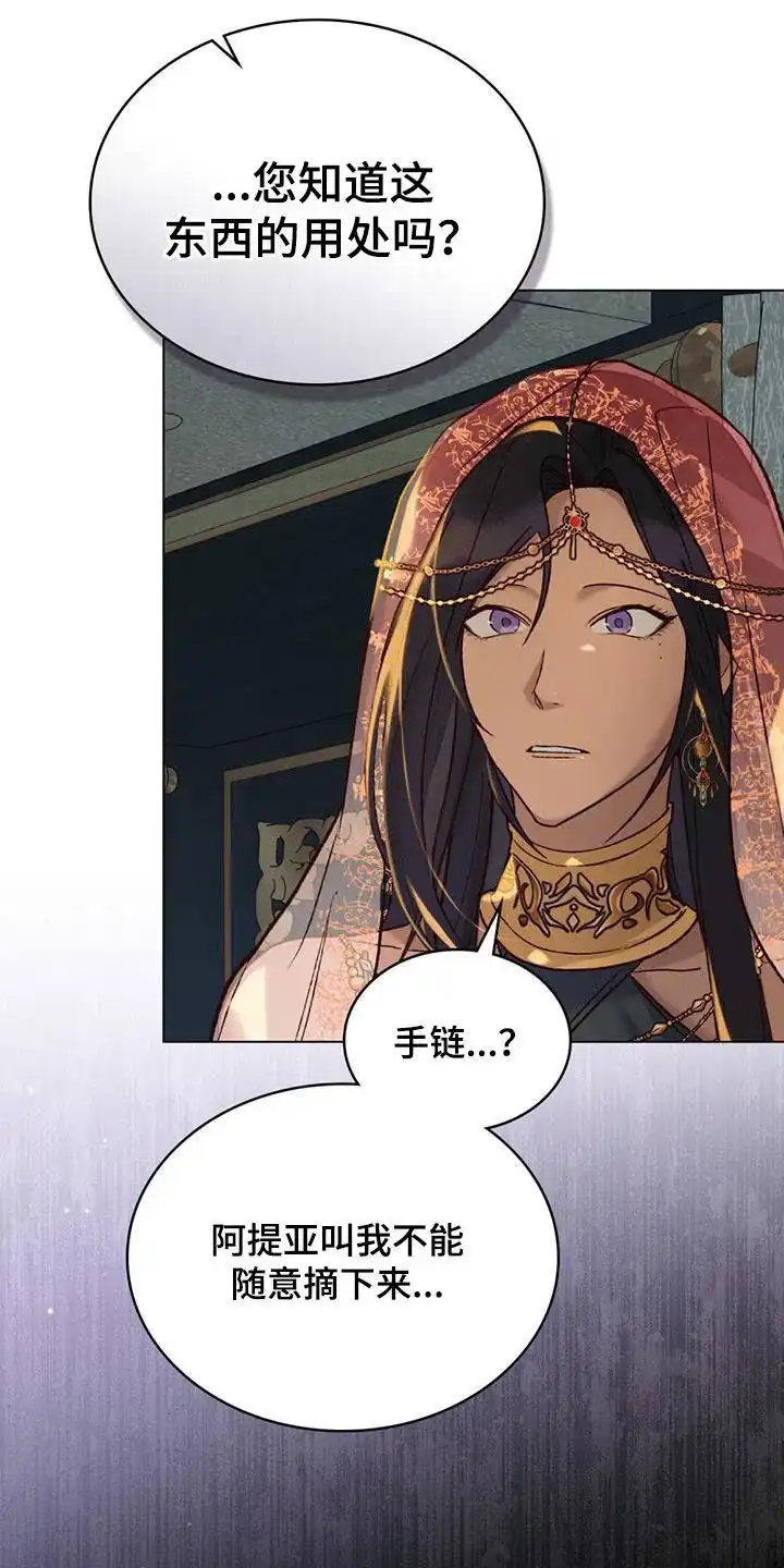 《琥珀魅影》第36话 第12页