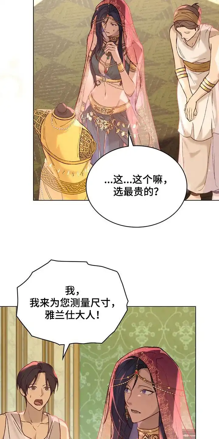 《琥珀魅影》第37话 第4页