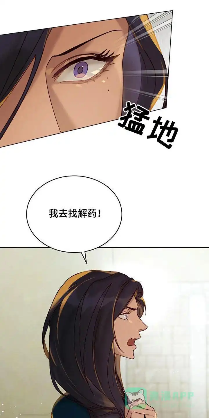 《琥珀魅影》第40话 第11页