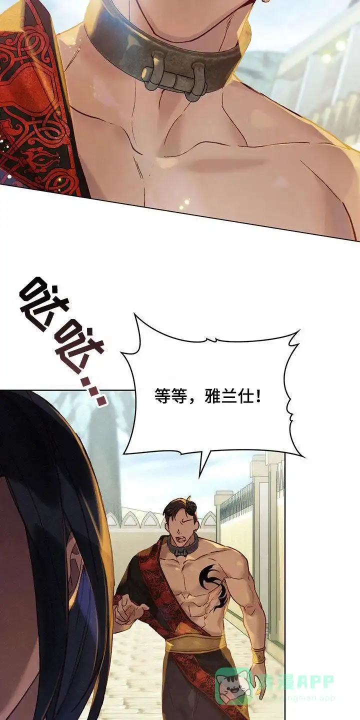 《琥珀魅影》第40话 第16页