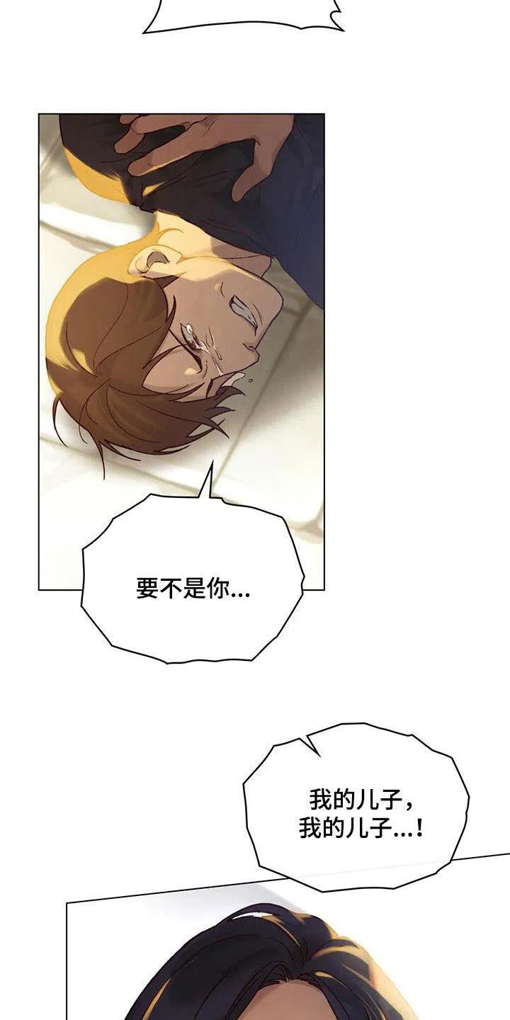 《琥珀魅影》第40话 第5页