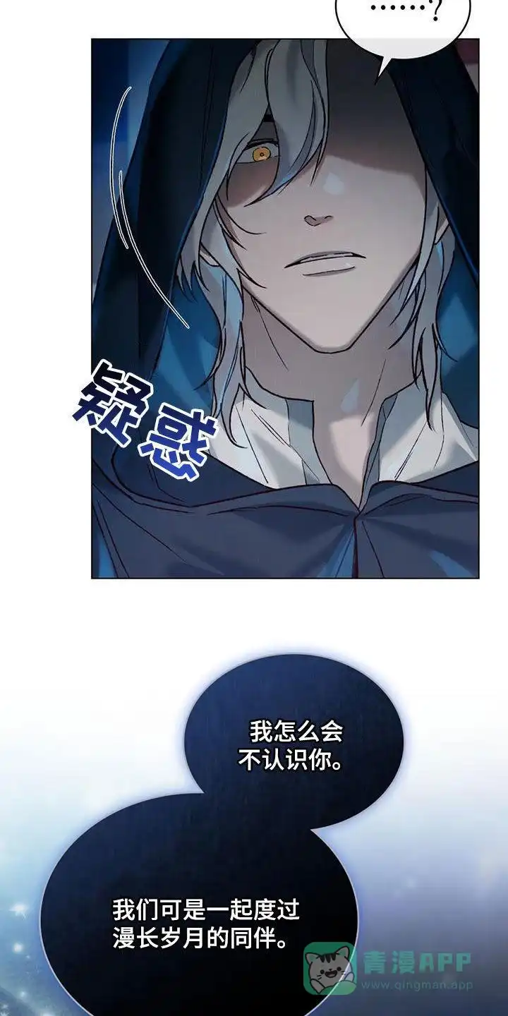 《琥珀魅影》第41话 第11页