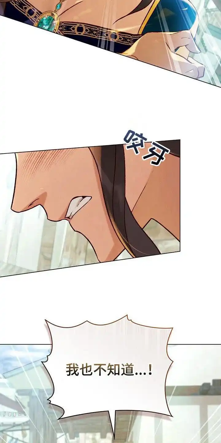 《琥珀魅影》第43话 第4页