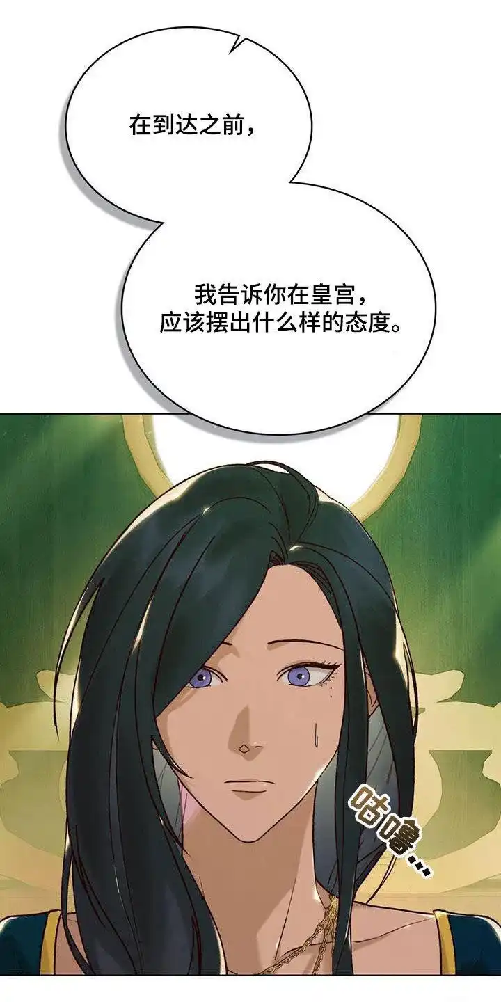《琥珀魅影》第44话 第12页