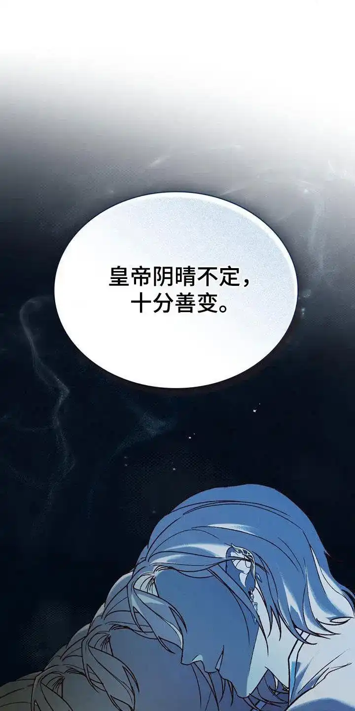 《琥珀魅影》第44话 第13页