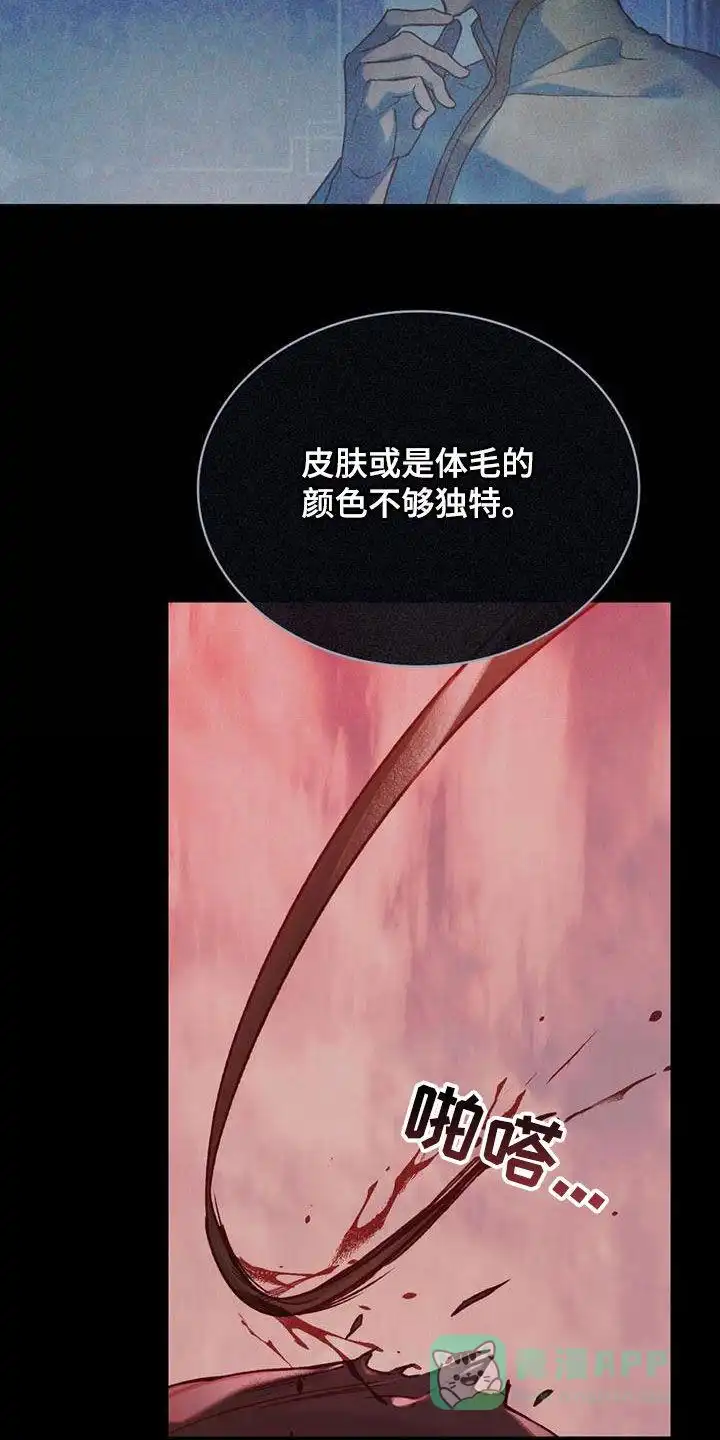 《琥珀魅影》第46话 第21页