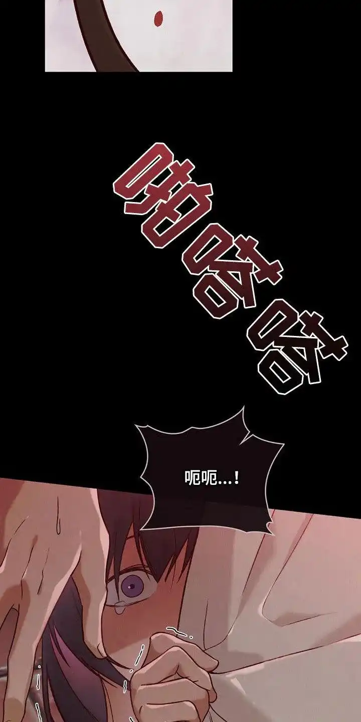 《琥珀魅影》第46话 第17页
