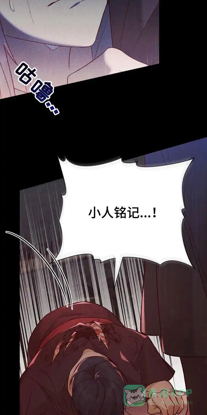 《琥珀魅影》第46话 第26页