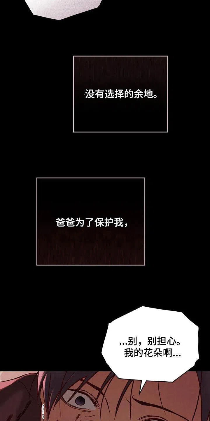 《琥珀魅影》第46话 第30页