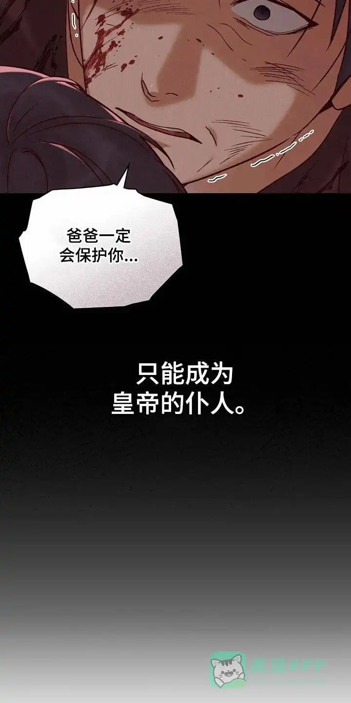 《琥珀魅影》第46话 第31页