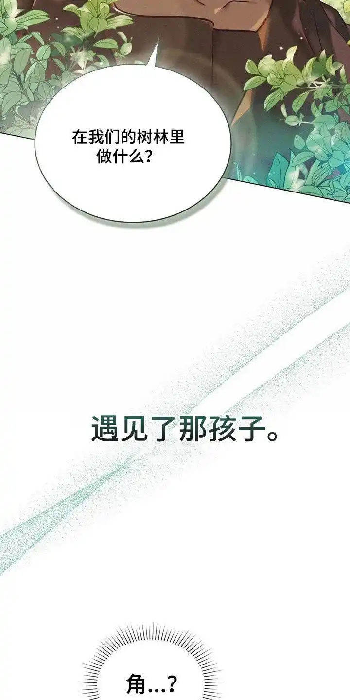 《琥珀魅影》第47话 第2页