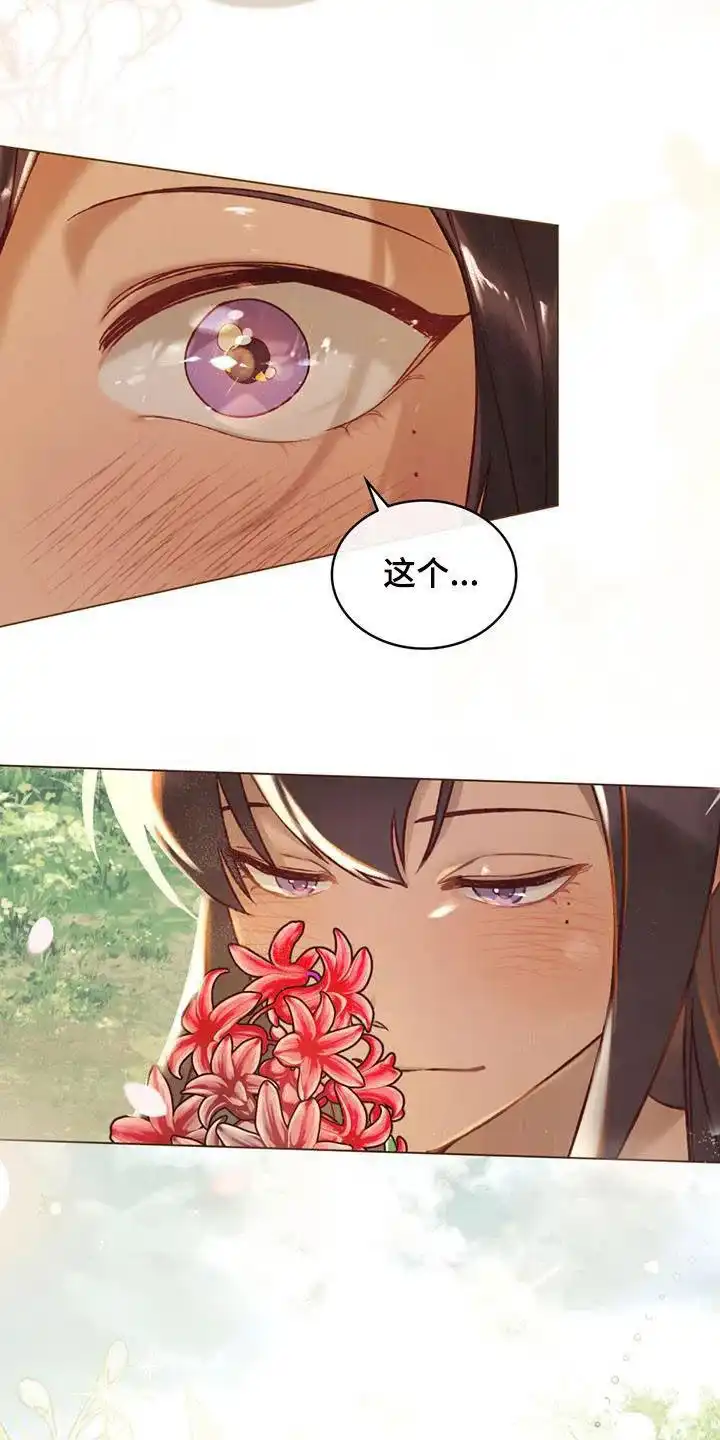 《琥珀魅影》第47话 第20页
