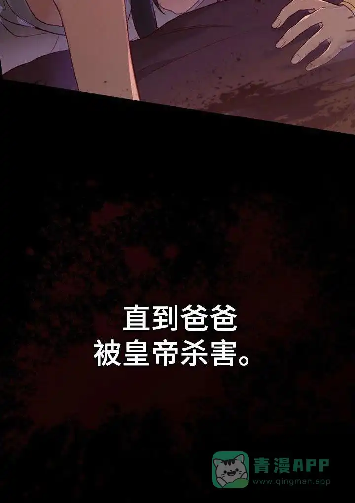 《琥珀魅影》第47话 第41页
