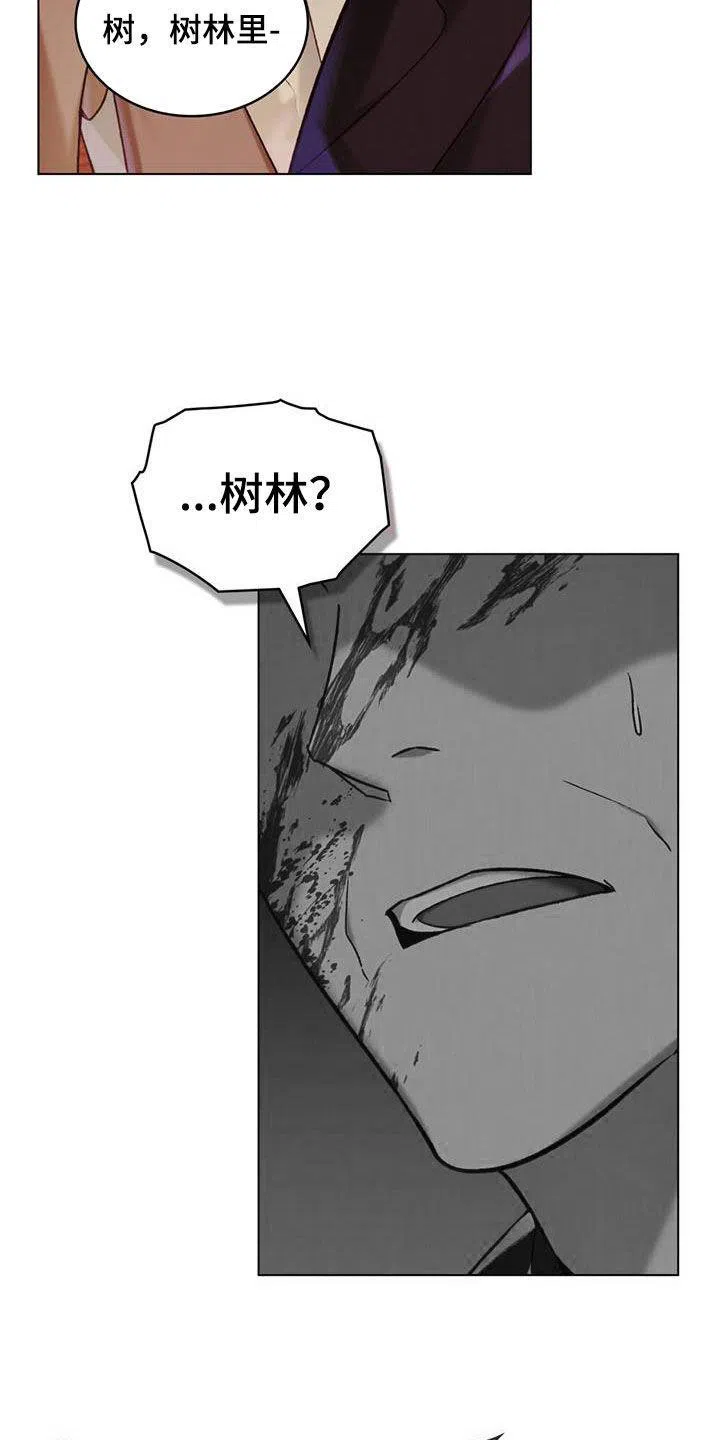 《琥珀魅影》第47话 第29页