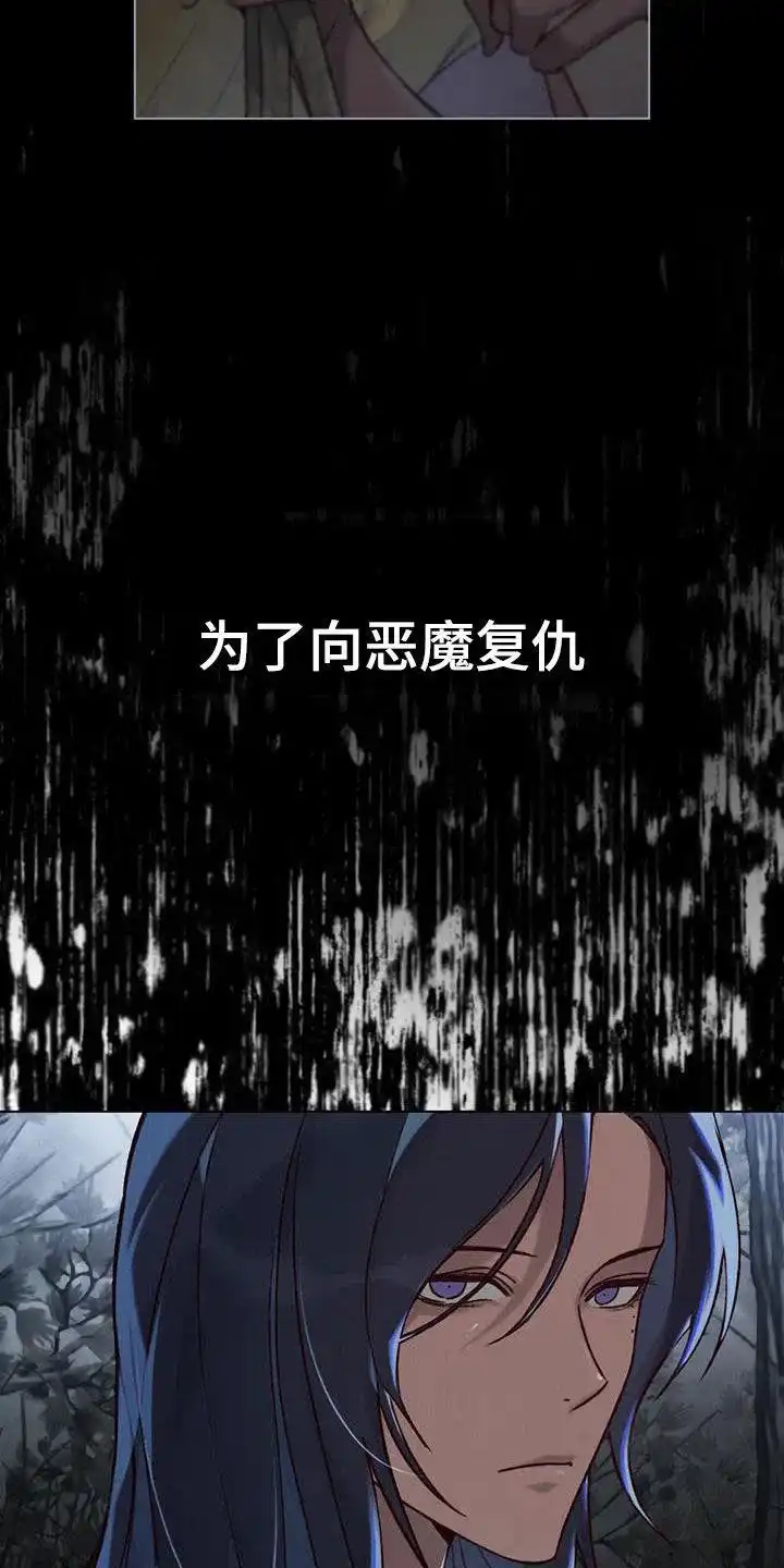 《琥珀魅影》第48话 第29页
