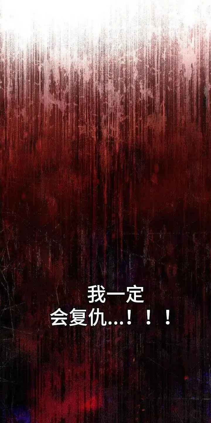 《琥珀魅影》第48话 第17页