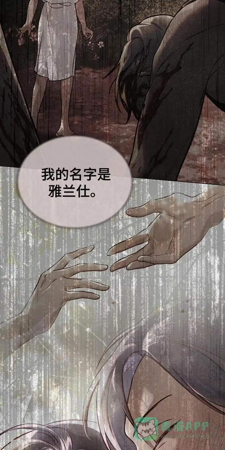 《琥珀魅影》第49话 第36页