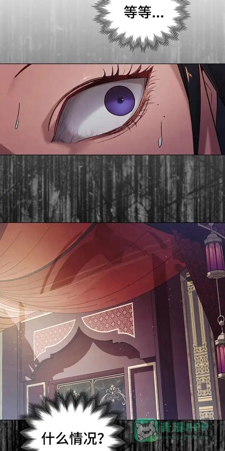 《琥珀魅影》第49话 第41页