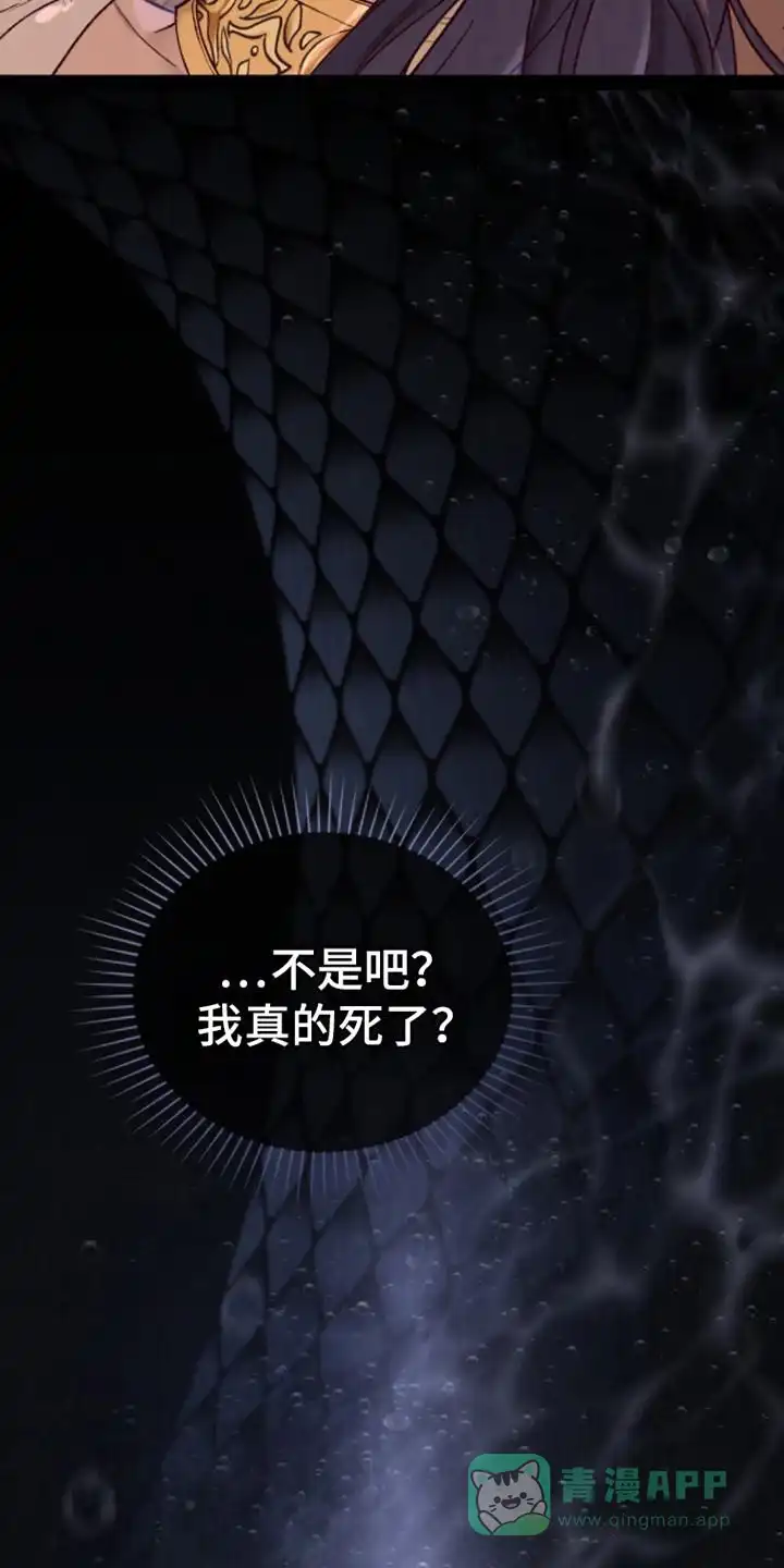 《琥珀魅影》第5话 第16页