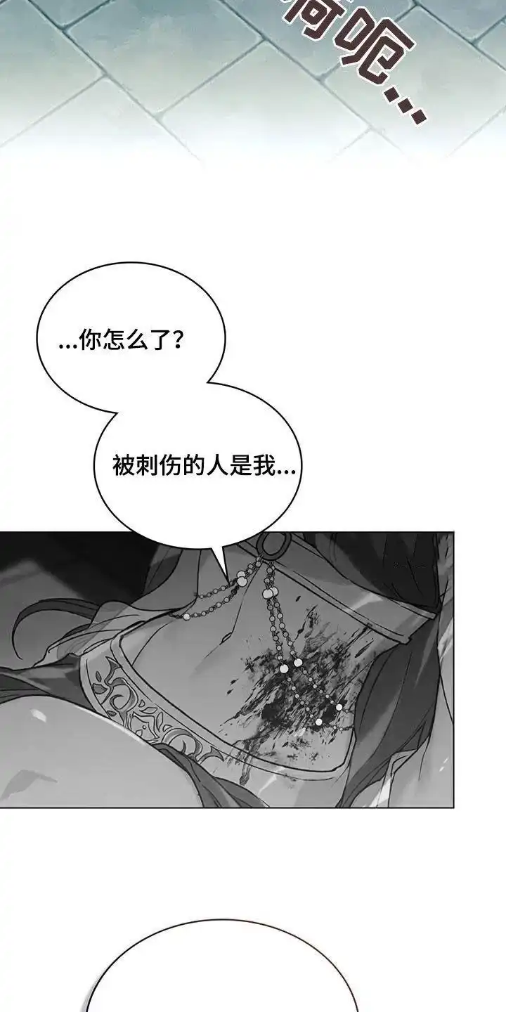 《琥珀魅影》第51话 第22页