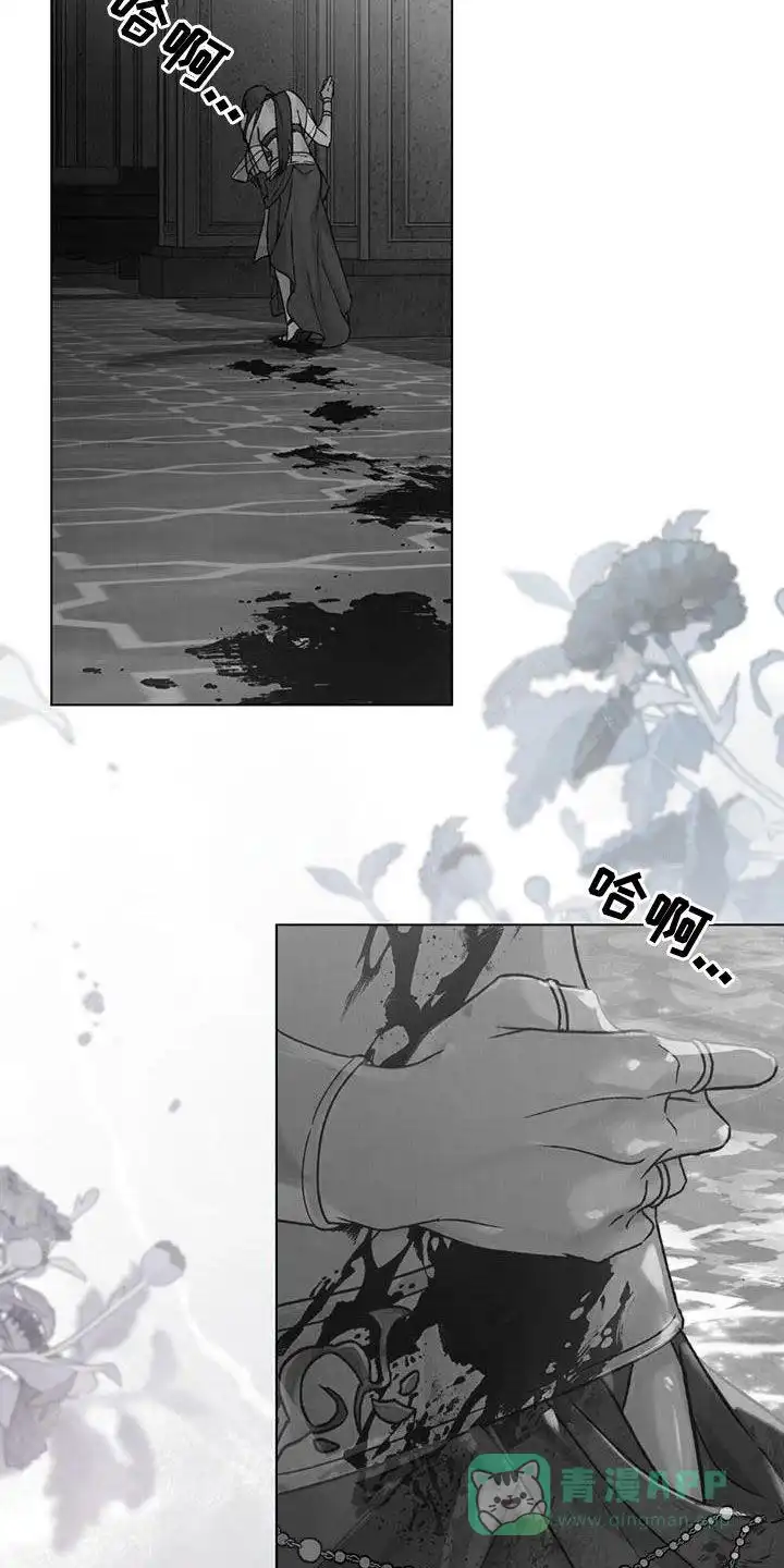 《琥珀魅影》第51话 第26页