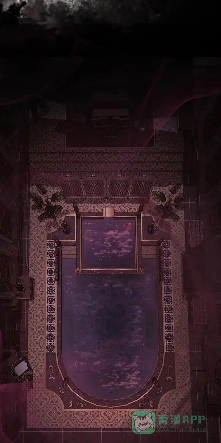 《琥珀魅影》第51话 第31页