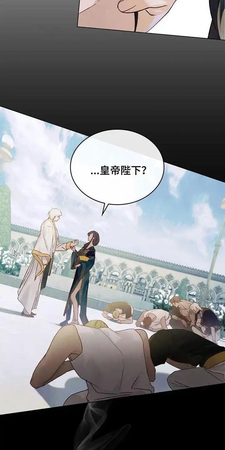 《琥珀魅影》第52话 第2页