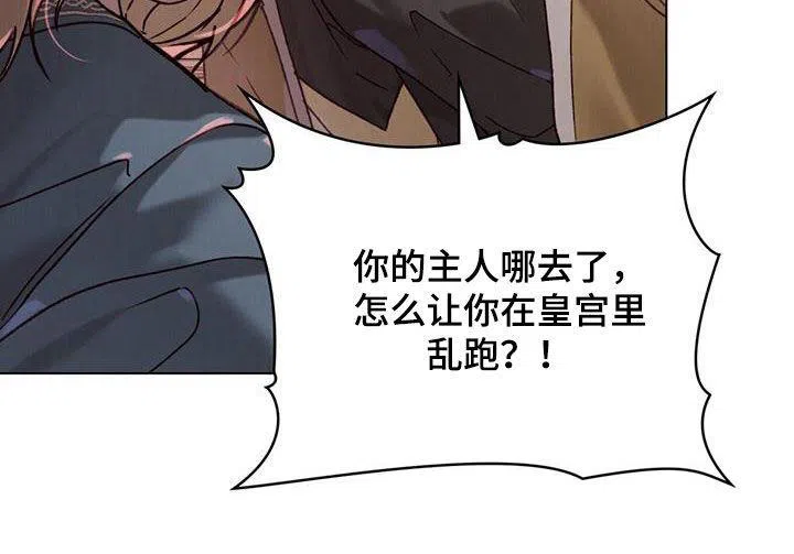 《琥珀魅影》第54话 第28页