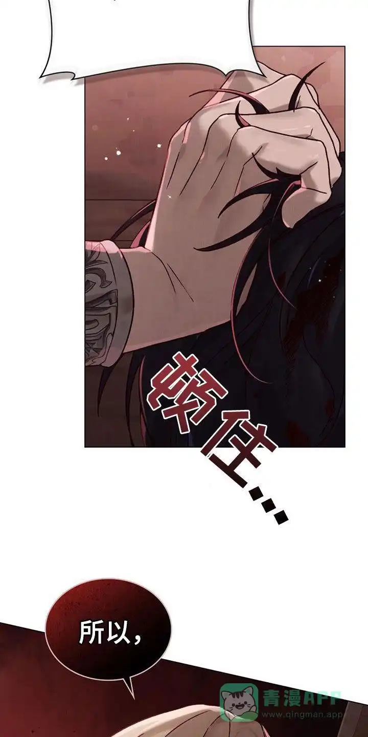 《琥珀魅影》第55话 第6页