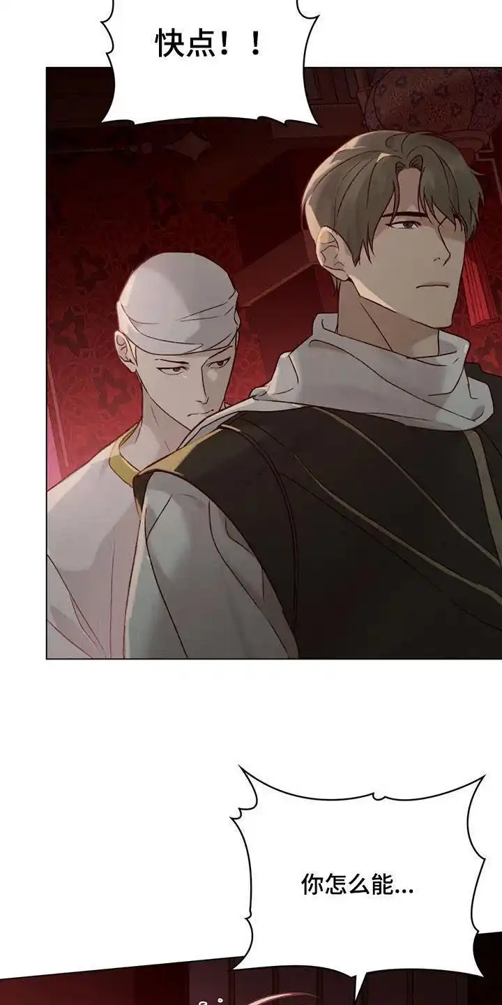 《琥珀魅影》第56话 第3页