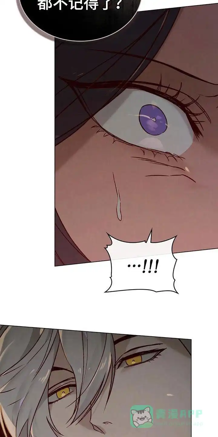 《琥珀魅影》第57话 第11页