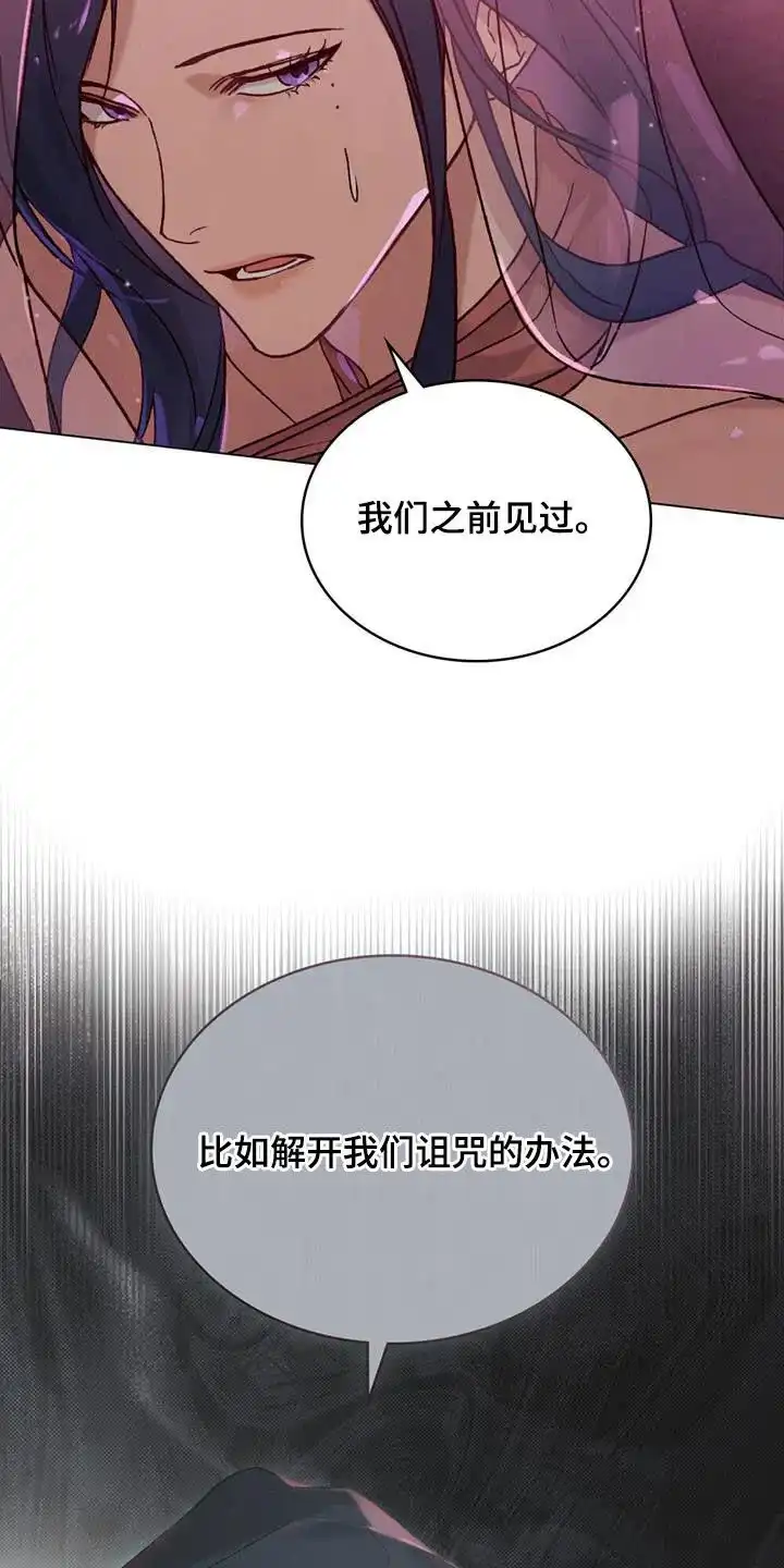《琥珀魅影》第58话 第5页