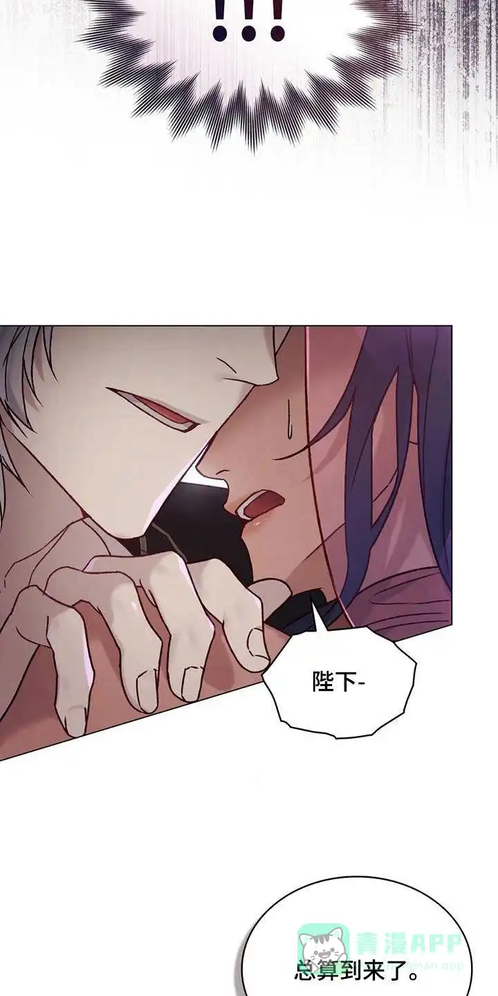 《琥珀魅影》第58话 第16页