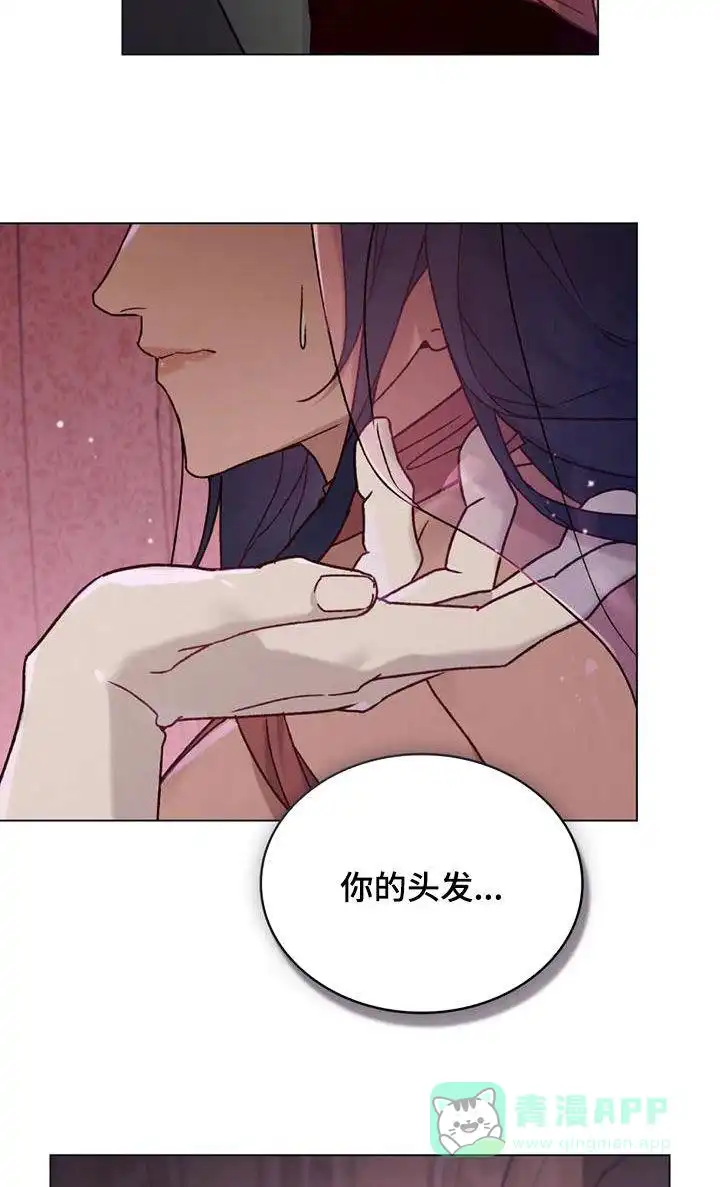 《琥珀魅影》第58话 第11页