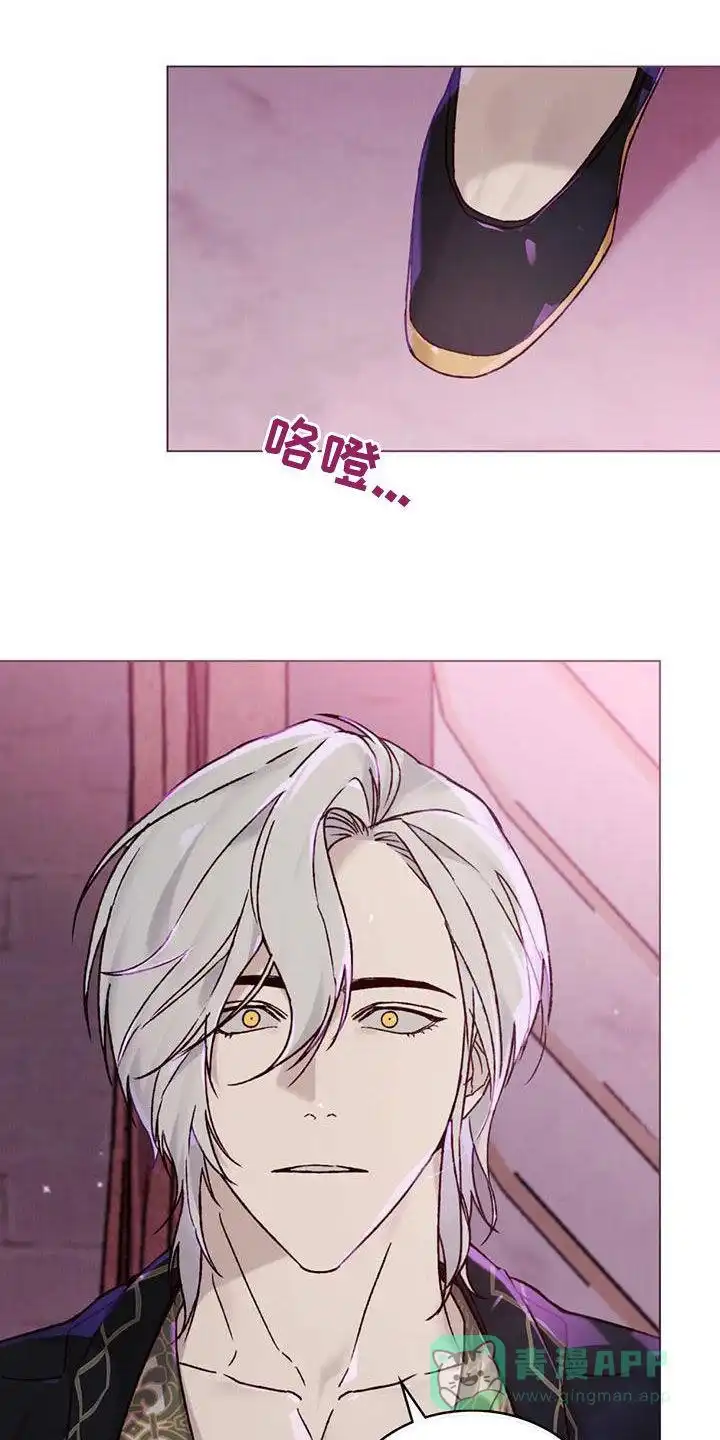《琥珀魅影》第58话 第1页