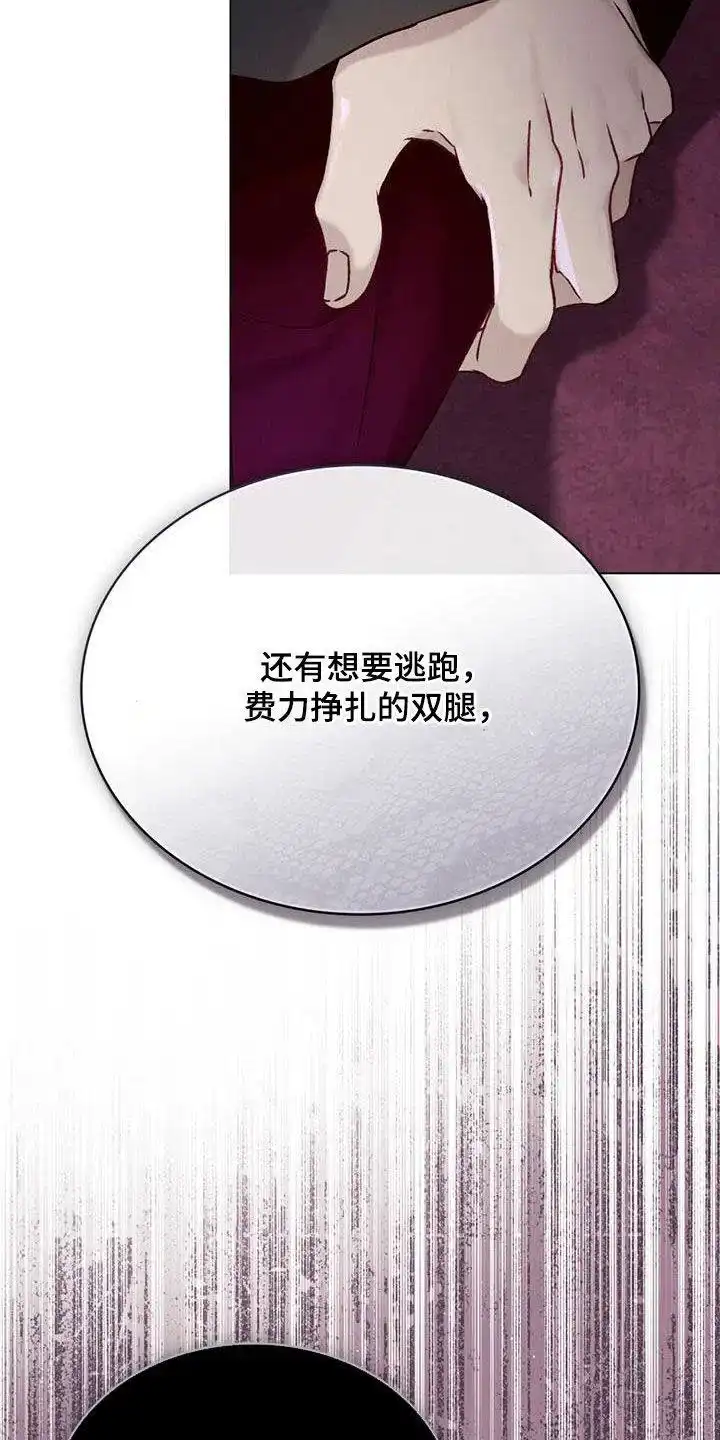 《琥珀魅影》第58话 第13页