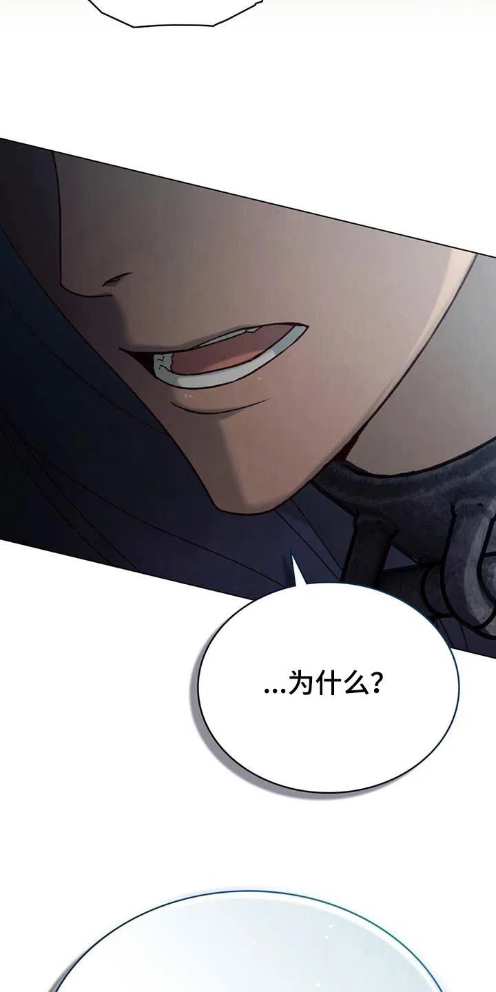 《琥珀魅影》第63话 第29页